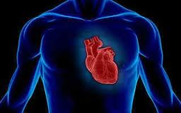 ΧΤΥΠΟΥΝ ΤΗΝ ΑΝΕΠΑΡΚΕΙΑ ΜΕ “ΣΥΡΡΙΚΝΩΣΗ” ΤΗΣ ΚΑΡΔΙΑΣ