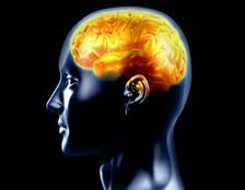 ΟΛΑ ΓΙΑ ΤΗΝ ΕΠΙΛΗΨΙΑ