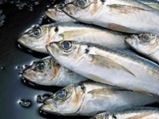 ΤΟ ΛΙΠΑΡΟ ΨΑΡΙ ΜΕΙΩΝΕΙ ΤΟΝ ΚΙΝΔΥΝΟ ΘΑΝΑΤΟΥ ΤΩΝ ΗΛΙΚΙΩΜΕΝΩΝ